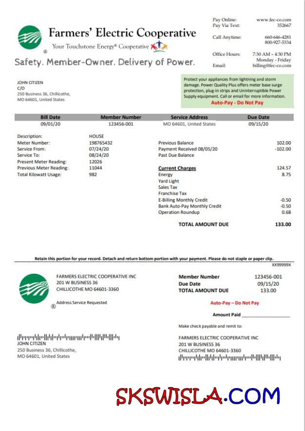 USA Ohio Farmer' s Electric Cooperative rachunek za media template in Word an PDF format